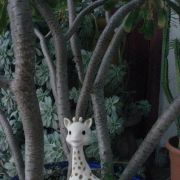 Sophie la girafe