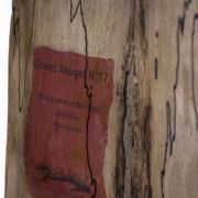  Bois Flotté Photowood Les Gnous rouges