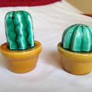 Paire salière-poivrière "cactus" barbotine