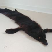 COL EN FOURRURE - Renard ?