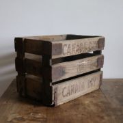 Boite Vintage Canada Dry