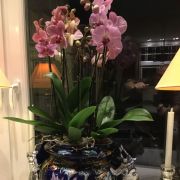 Très grand cache pot barbotine " vieux Rouen"