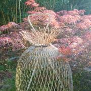 Grande cage à oiseaux 