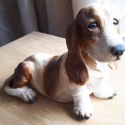 Chien décoratif Basset Hound