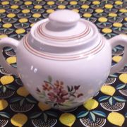 Surcrier faïence Salins