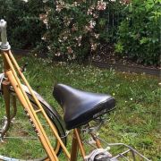 Vélo de Ville collection Vintage taille M VERDIN (femme)