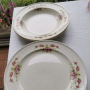 6 assiettes 24 cm  PETRUS REGOUT Maastricht antique neerland