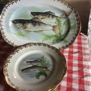 Assiettes + plat Porcelaine