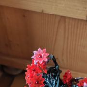 guirlande Noël 50 étoiles rouges lumineuse