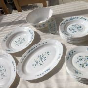 service arcopal veronica