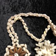 Coquillage vintage 1960