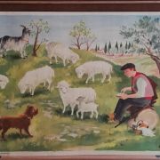 Affiche scolaire vintage Le berger