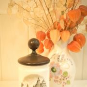 Pot d'Apothicaire en verre blanc