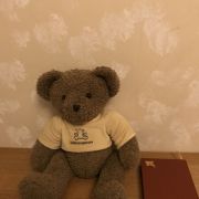 Ours peluche vintage 