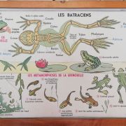 Affiche scolaire vintage MDI