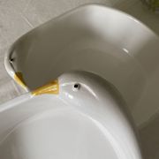 Plat Oies blanches et grises