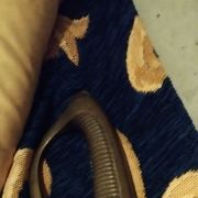 Sabre de Cavalerie, RARE, époque Napoléonienne  