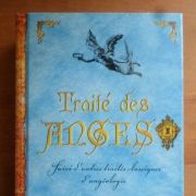 Traité Des Anges de Édouard Brasey