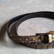 Ceinture reptile beige  boucle dorée 