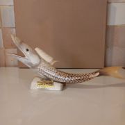 Sculpture poisson en corne 