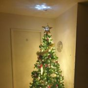 Ensemble Complet d'Arbre de Noël et Décorations Festives