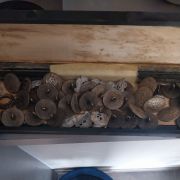 Bouton tête de mort pièce 