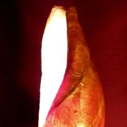 Lampe conque Dorée.