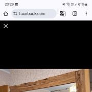 Lot de 2 miroirs en manguier