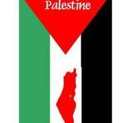 FREE Palestine