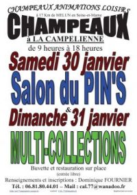 Salon du Pin's