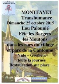 Transhumance avec vide-grenier Montfavet