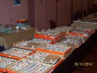 Salon multi-collections/bourse d'échanges Lamarche Sur Saone