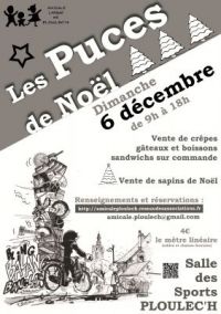 Puces de Noël Ploulec'h