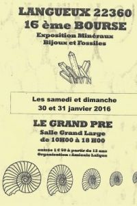 16ème bourse aux minéraux et fossiles de Langueux