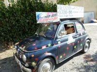 Les puces de Saint Martin