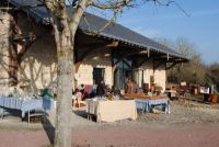 Puces de la roche-posay