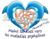 Vide grenier place d'armes de Toulon