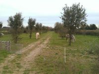 Vide greniers brocante de Saint Chaptes