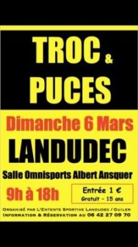 Troc &amp; puces de Landudec