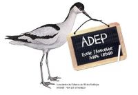 Vide ta chambre de Saint Urbain