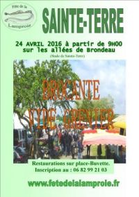 Brocante vide-grenier de Sainte Terre