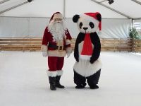 Foire à tout Evreux