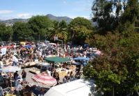 Vide greniers-vide jardinsdles palmiers mont boron de Nice