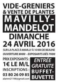 Vide-greniers et Vente de Plantes de Mavilly Mandelot