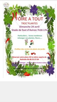 Foire à tout et foire aux plantes d'Aviron