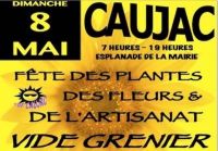 Vide-greniers, Fête des fleurs, des plantes, artisanat de Caujac