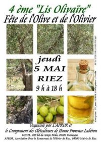 Fête de l'olive - Vide-grenier