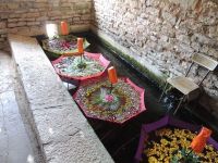 Vide-greniers troc aux plantes et marche aux plantes Marcellois