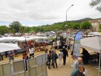 18ème fête des fleurs de Mirabel et blacons