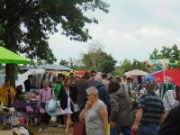 Vide grenier des floralies